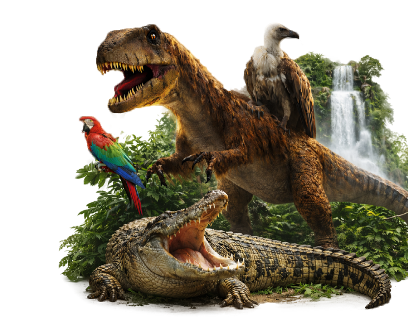 dinosaur