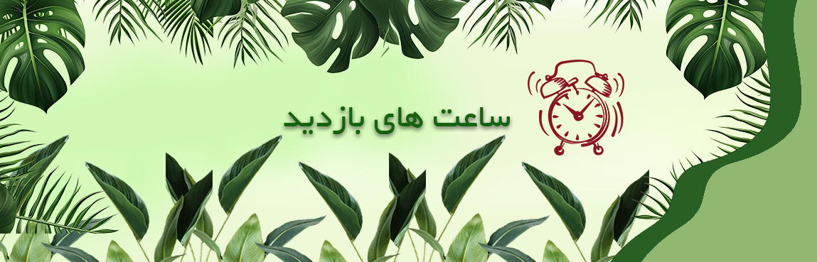 باغ مشهد
